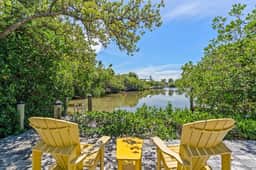 Palm Trees & Manatees - Image 2